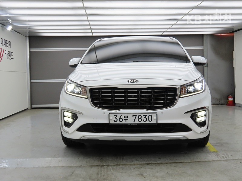 2019 - kia carnival