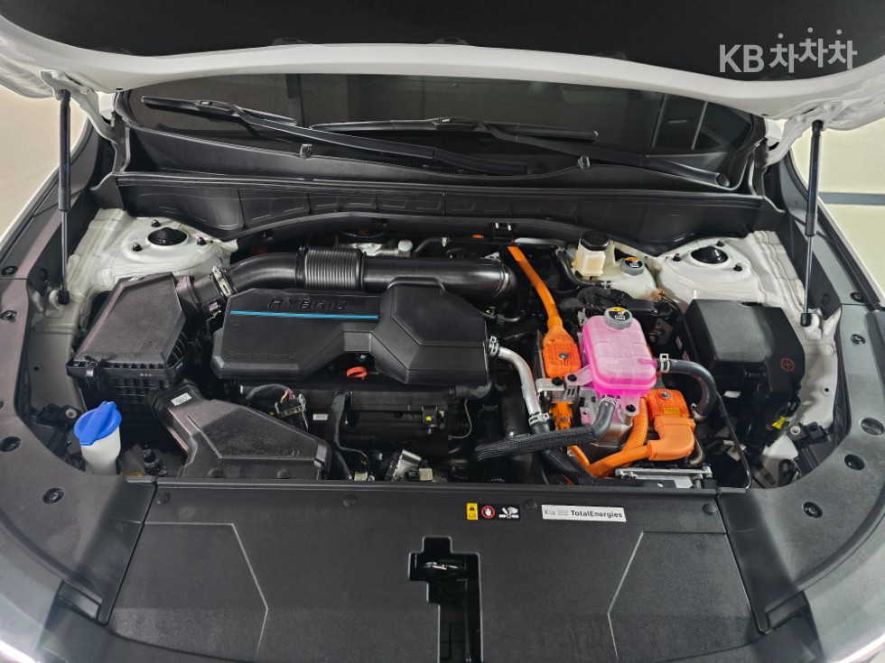 2025 - kia sorento