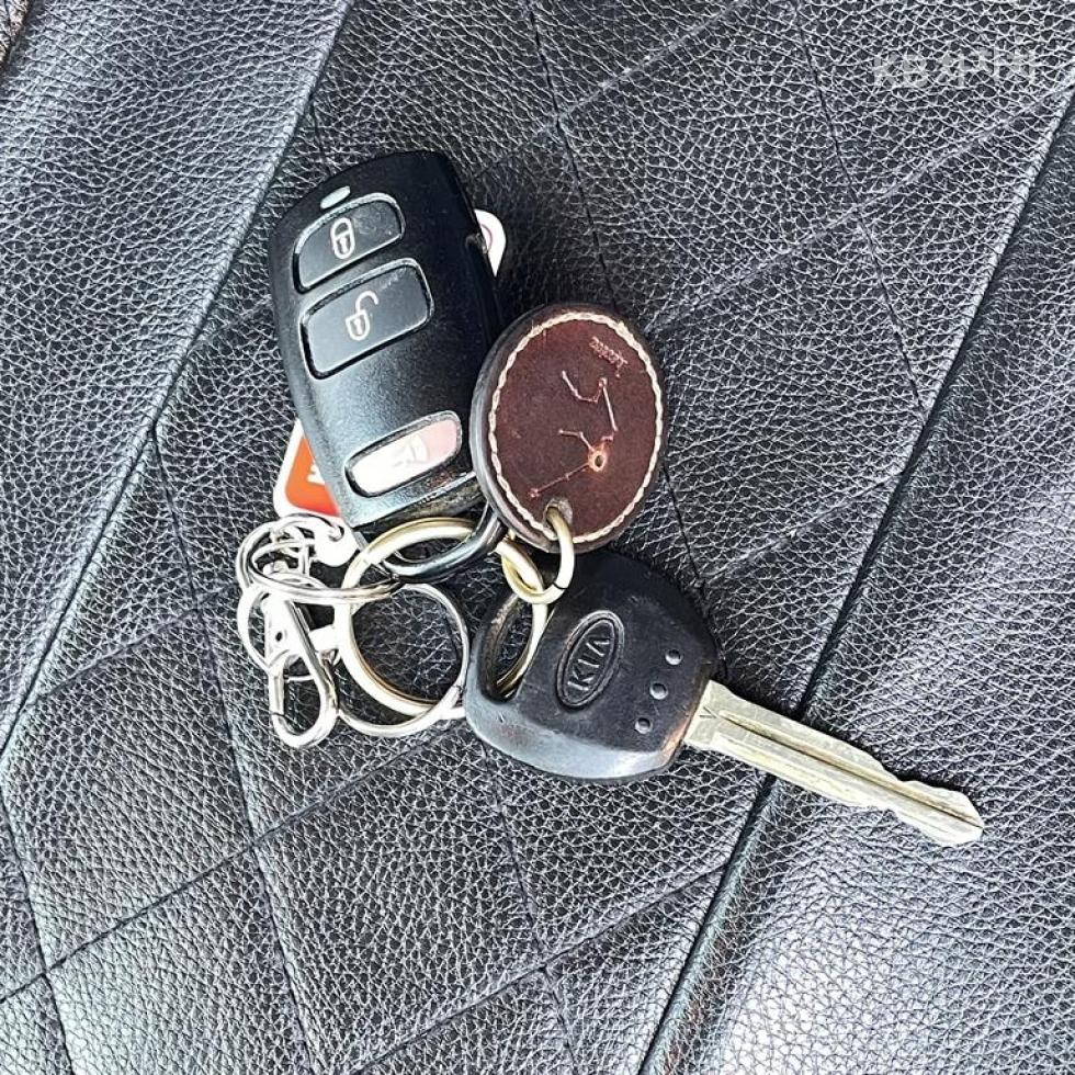 2011 - kia carnival