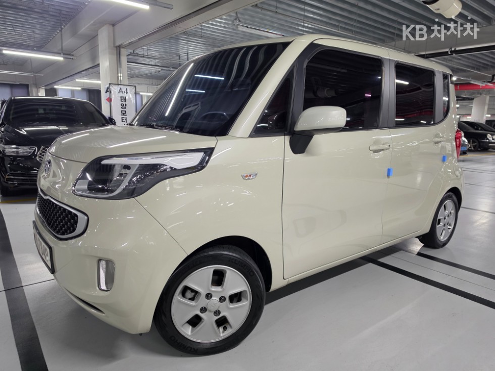 2013 kia ray