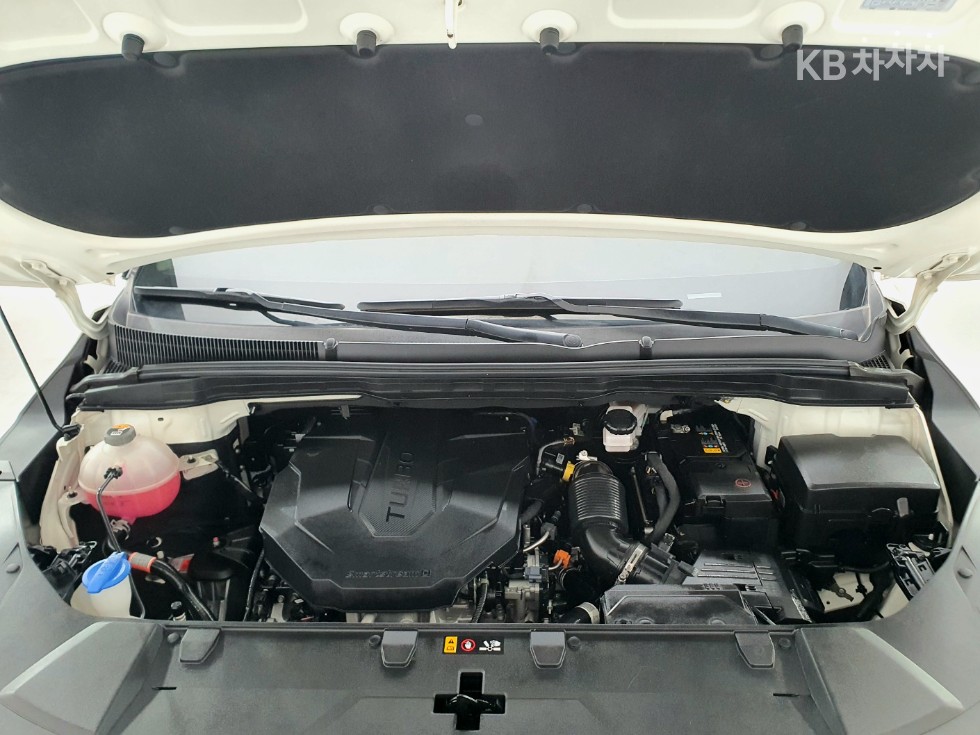 2021 - kia carnival