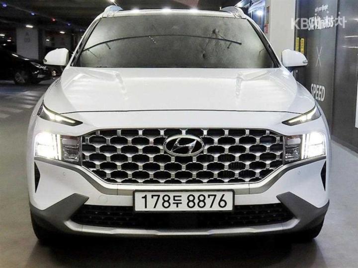 Hyundai Santa Fe TM Diesel 2.2 2WD Premium Choice 3