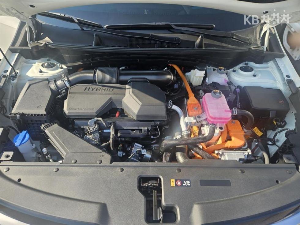 2026 - kia sportage