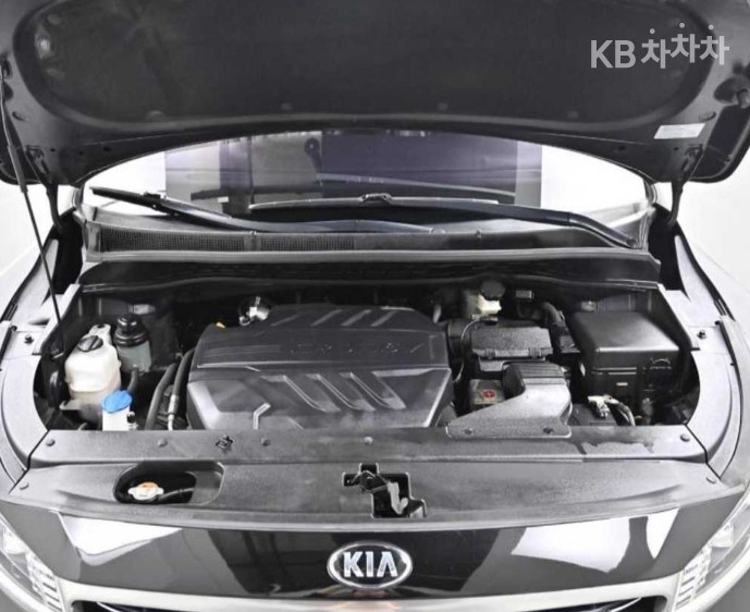 2019 - kia carnival