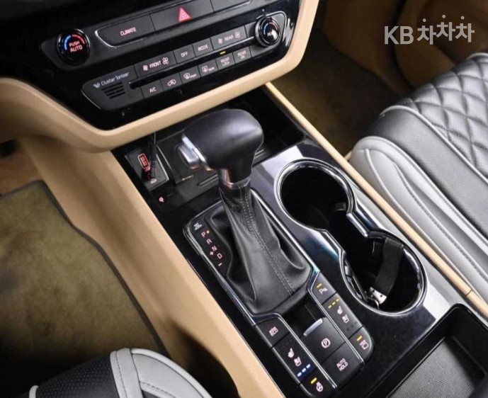 2019 - kia carnival