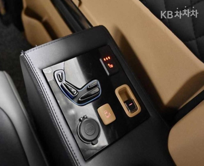 2019 - kia carnival