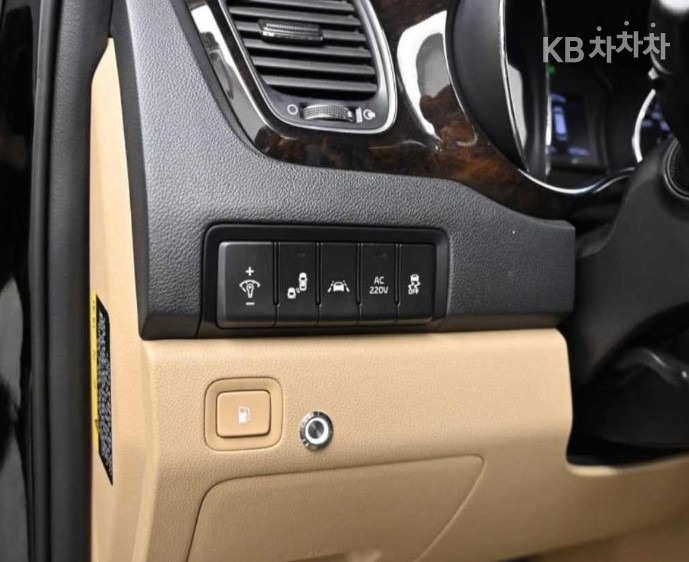 2019 - kia carnival