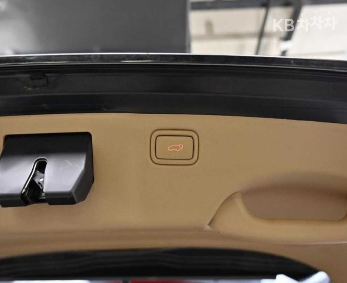 2019 - kia carnival