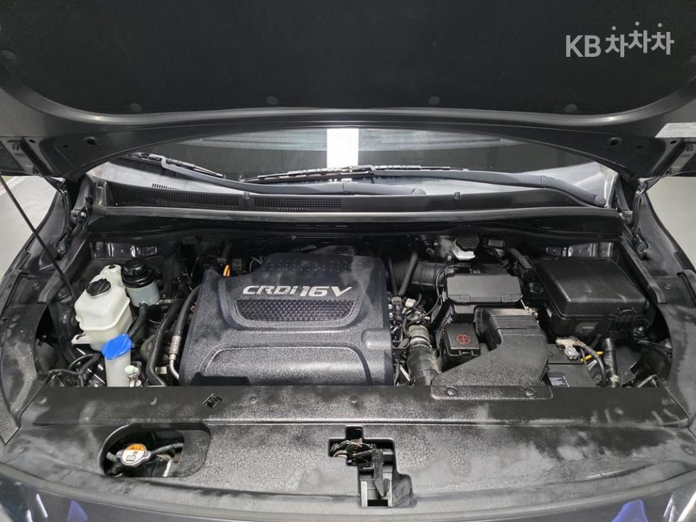 2018 - kia carnival