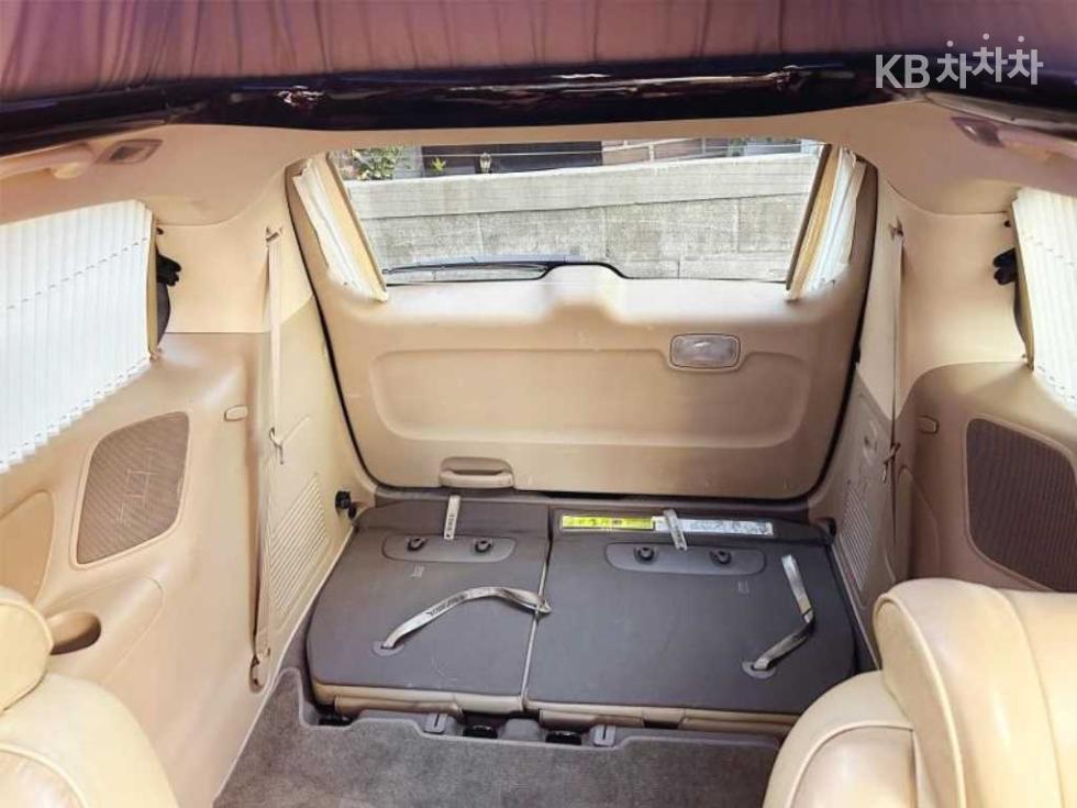 2010 - kia carnival
