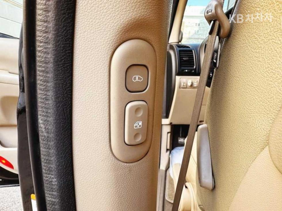 2010 - kia carnival