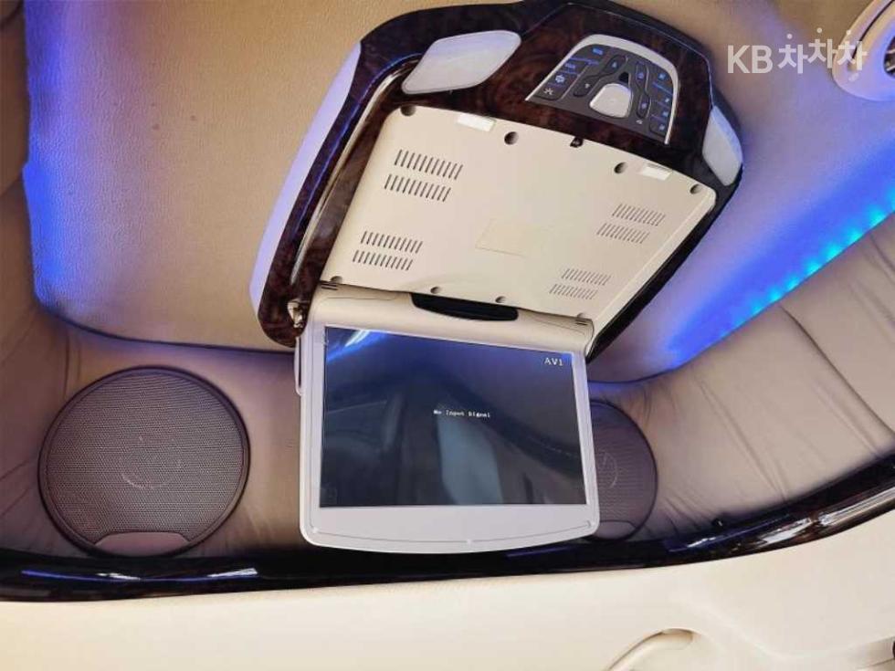 2010 - kia carnival