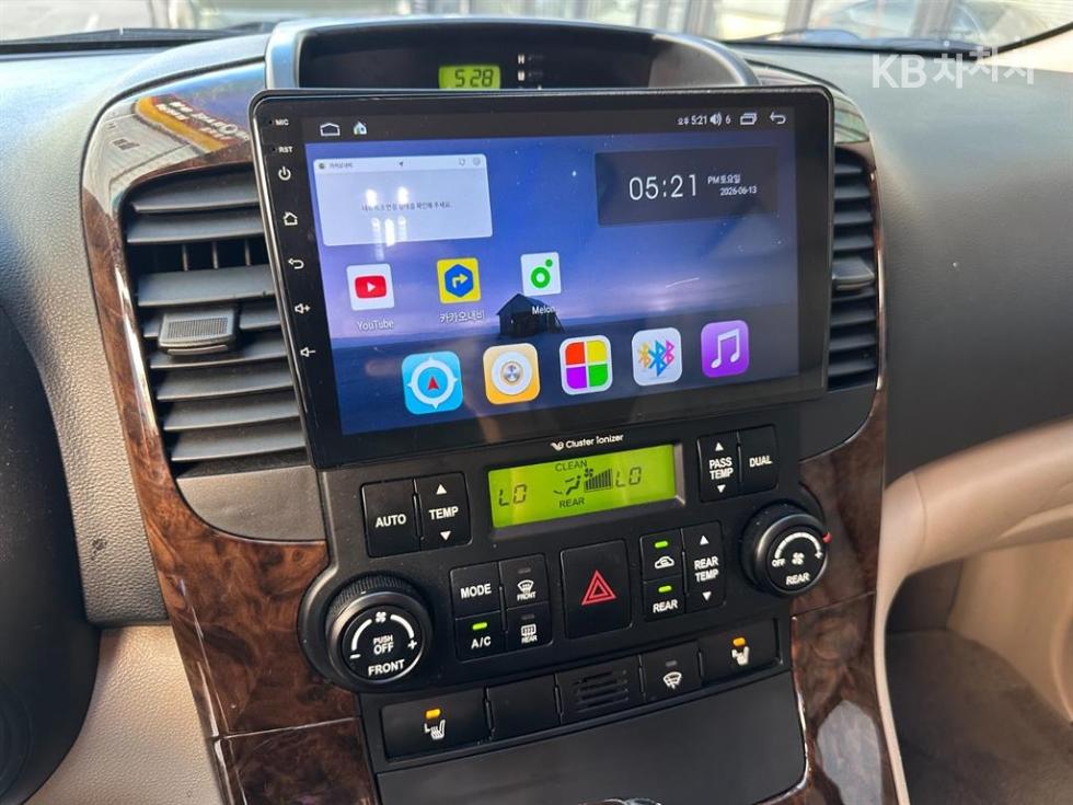 2010 - kia carnival