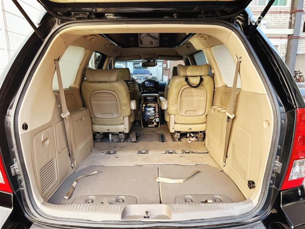 2010 - kia carnival