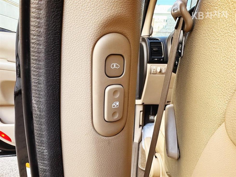 2010 - kia carnival