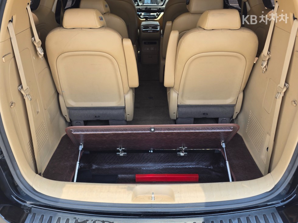 2018 - kia carnival