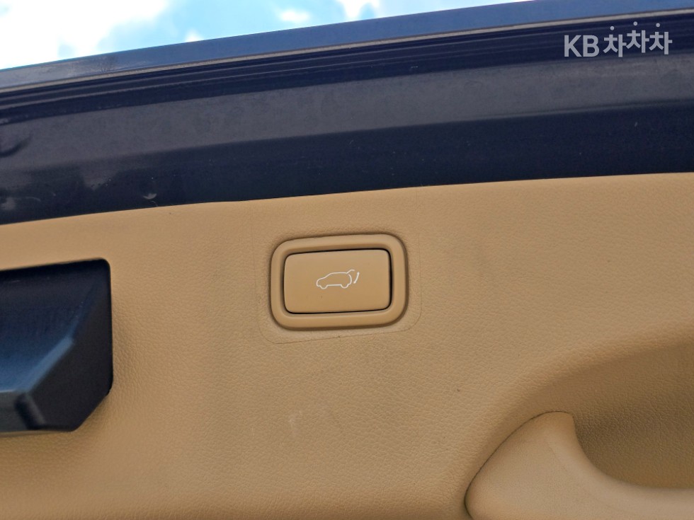 2018 - kia carnival