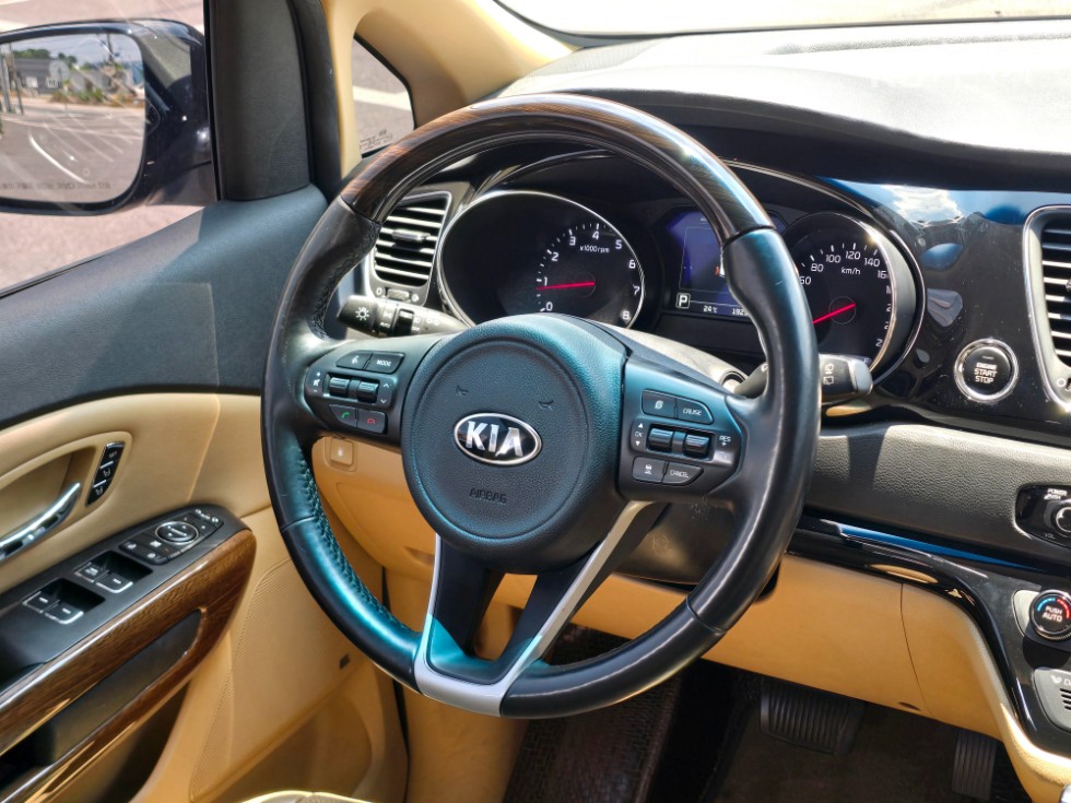 2018 - kia carnival