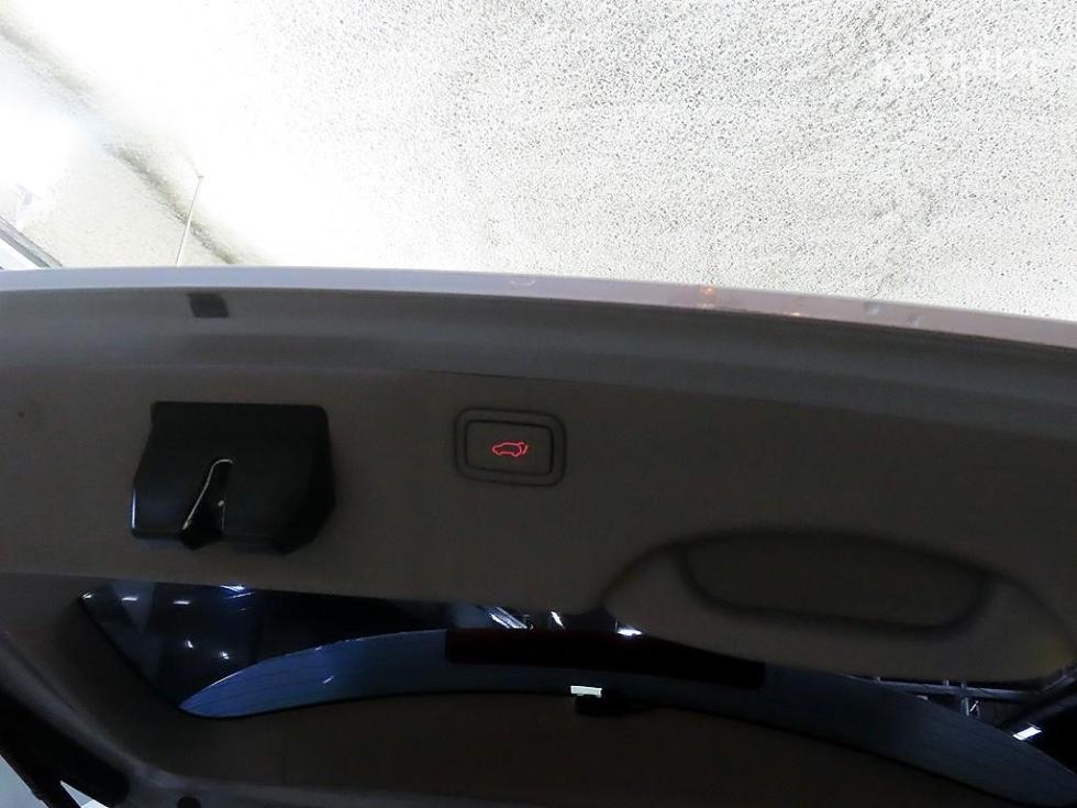 2017 - kia carnival