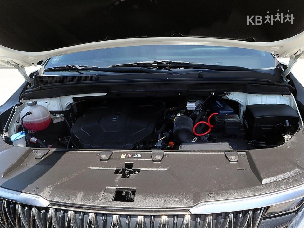 2021 - kia carnival