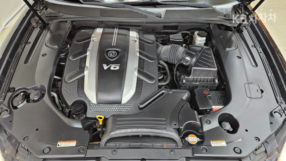 2010 - kia opirus