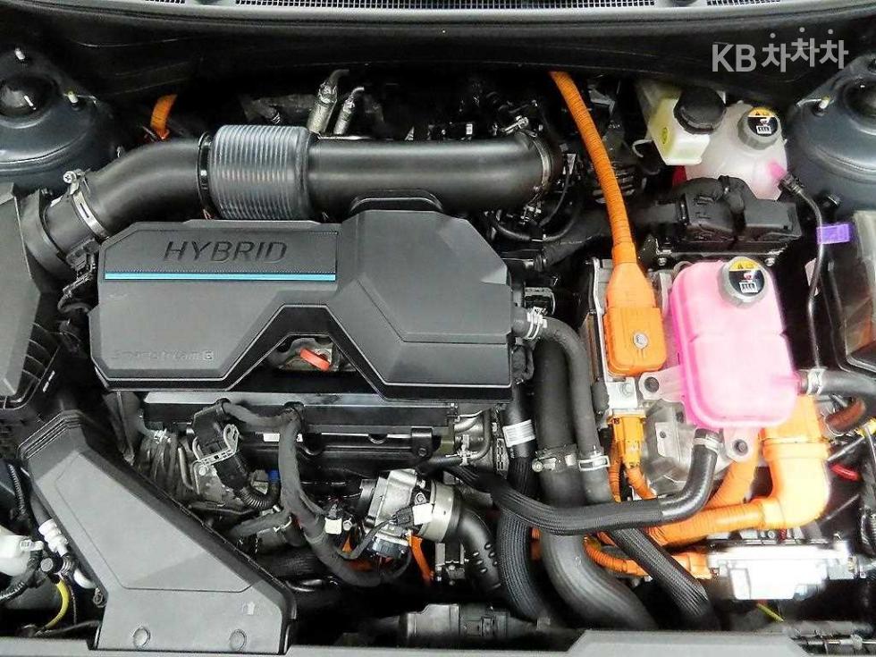 2023 - kia sportage