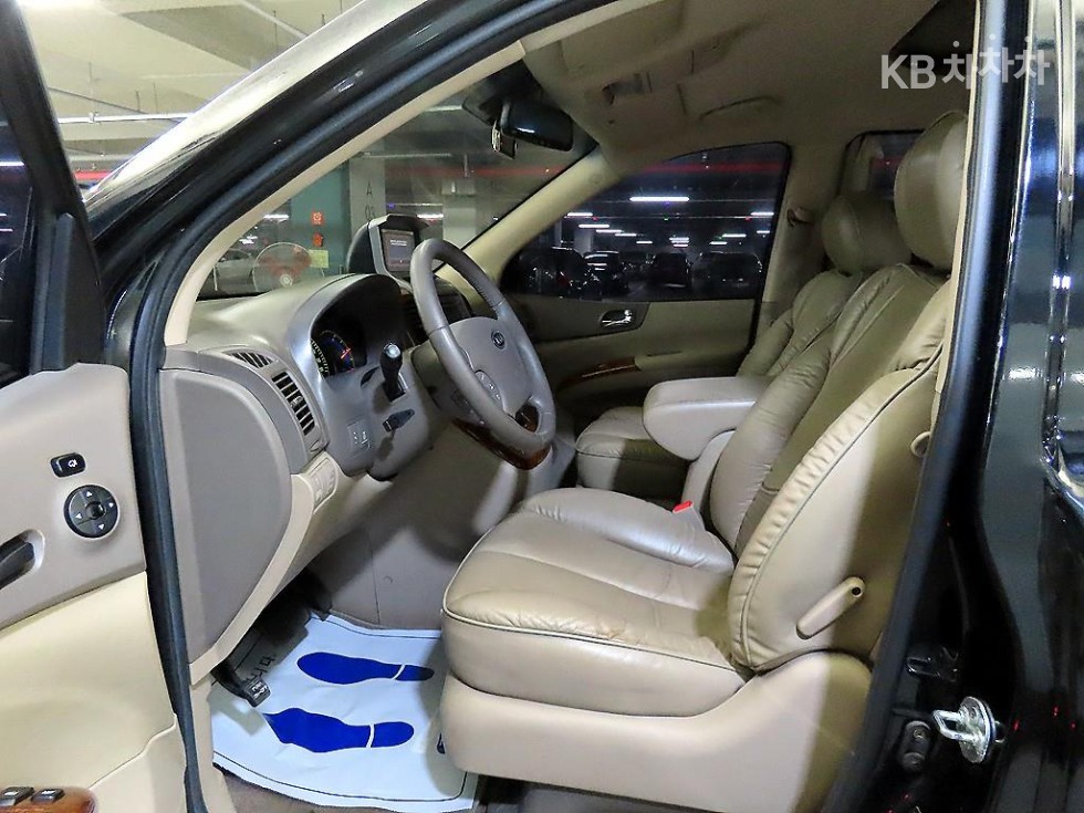 2010 - kia grand carnival