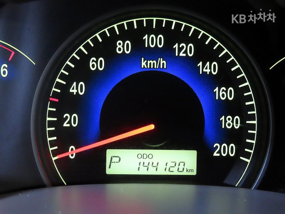 2010 - kia grand carnival