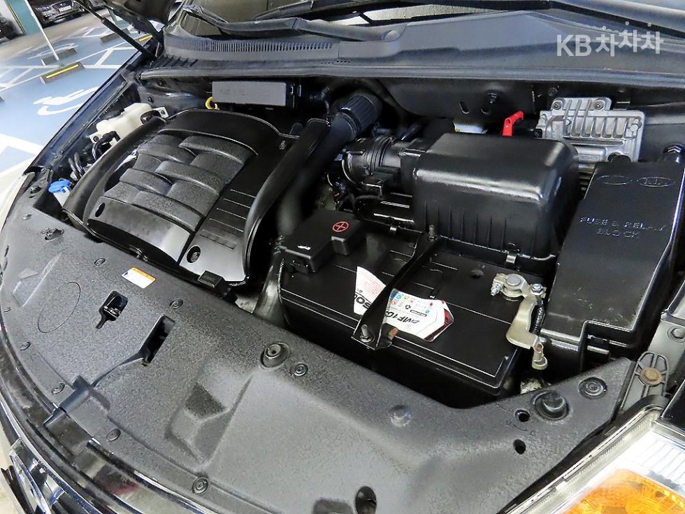 2010 - kia grand carnival
