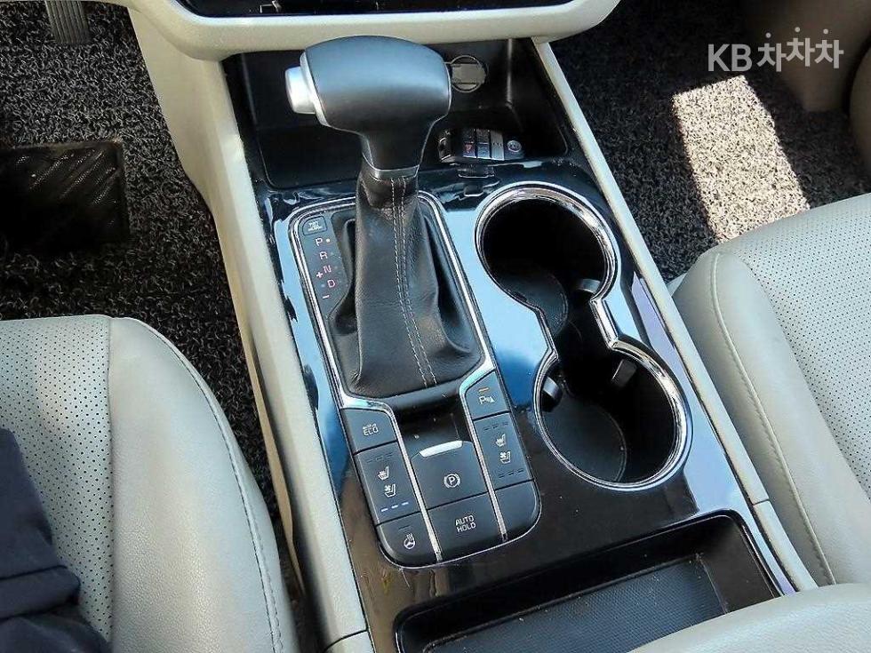 2019 - kia carnival