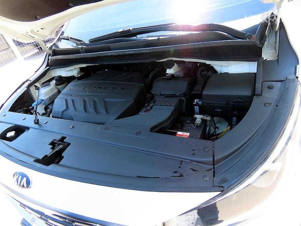 2019 - kia carnival