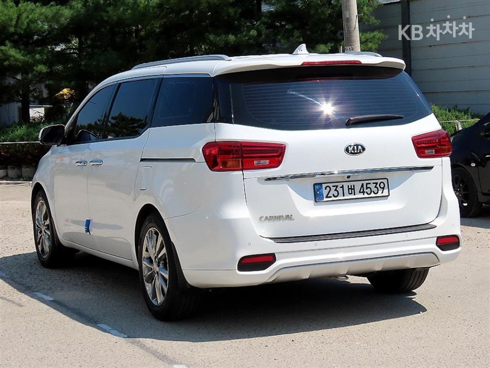2019 - kia carnival