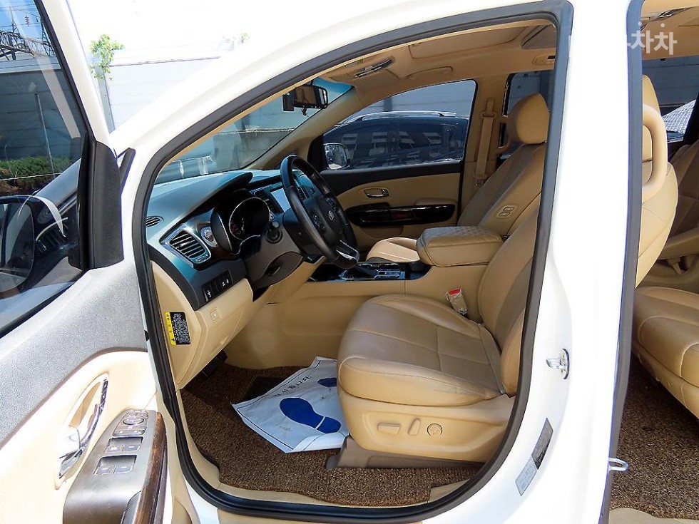 2019 - kia carnival