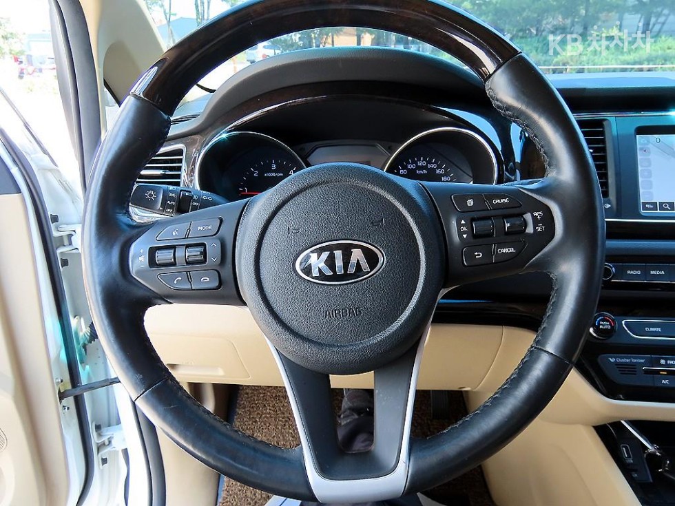 2019 - kia carnival