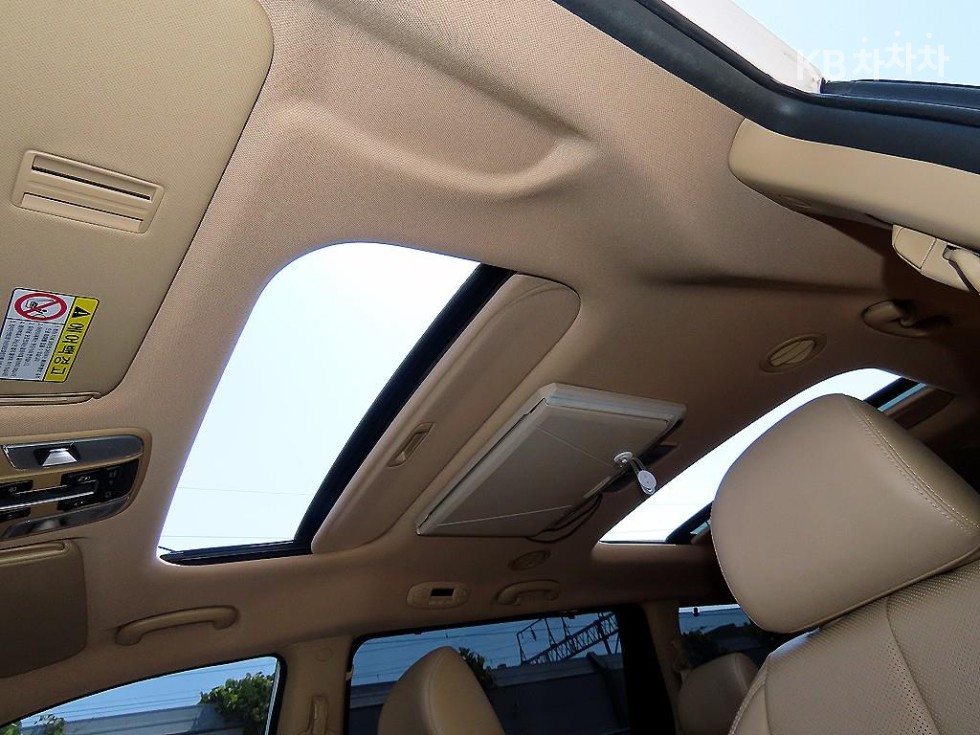 2019 - kia carnival