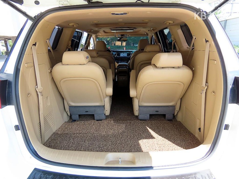 2019 - kia carnival
