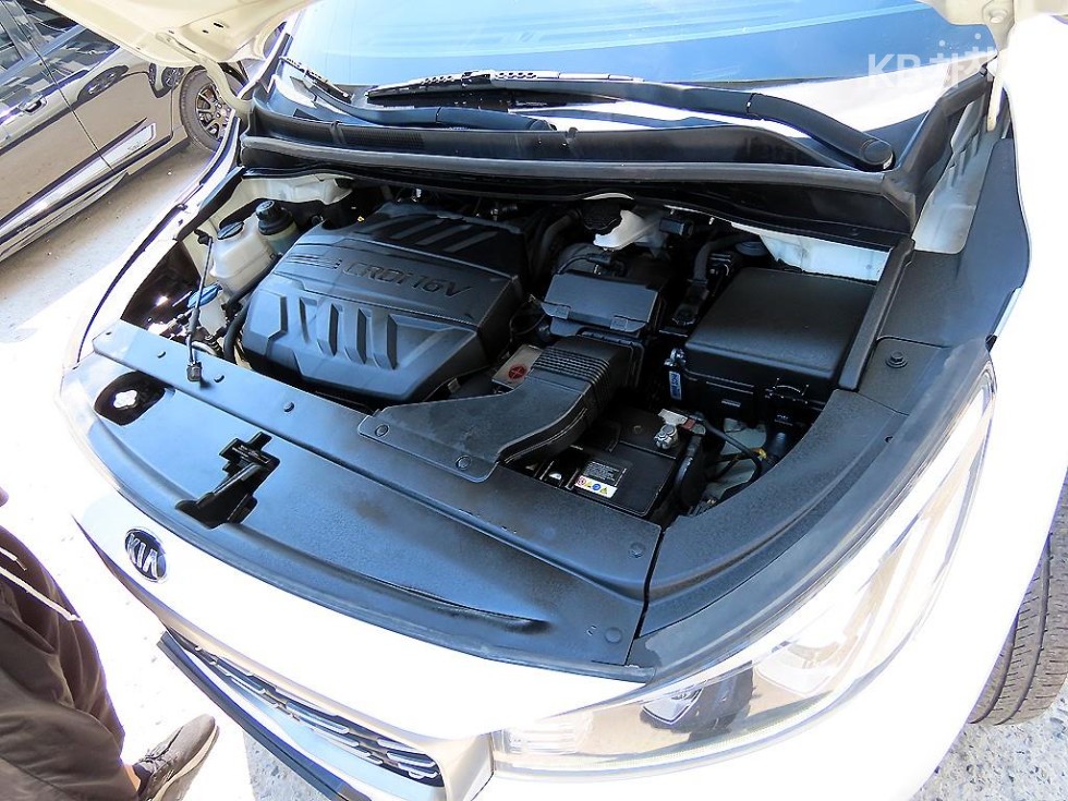 2019 - kia carnival