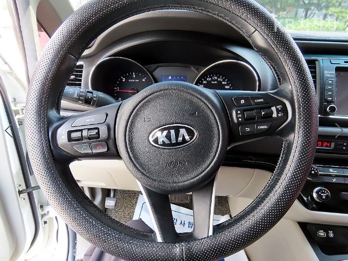 2018 - kia carnival