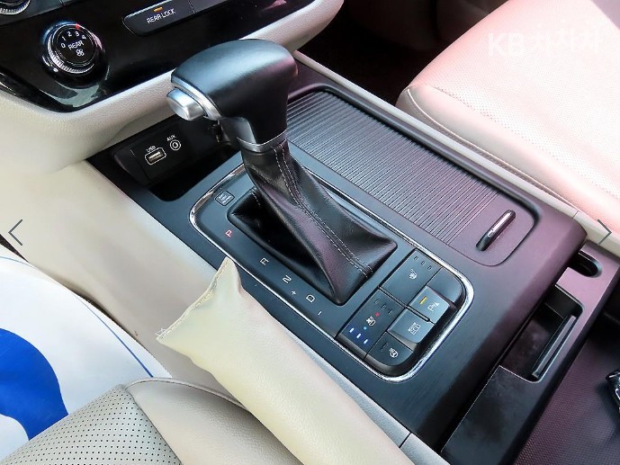 2018 - kia carnival
