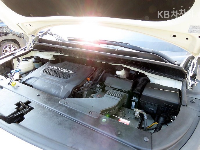 2018 - kia carnival