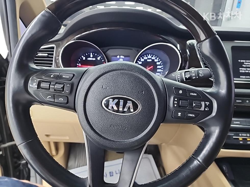 2019 - kia carnival