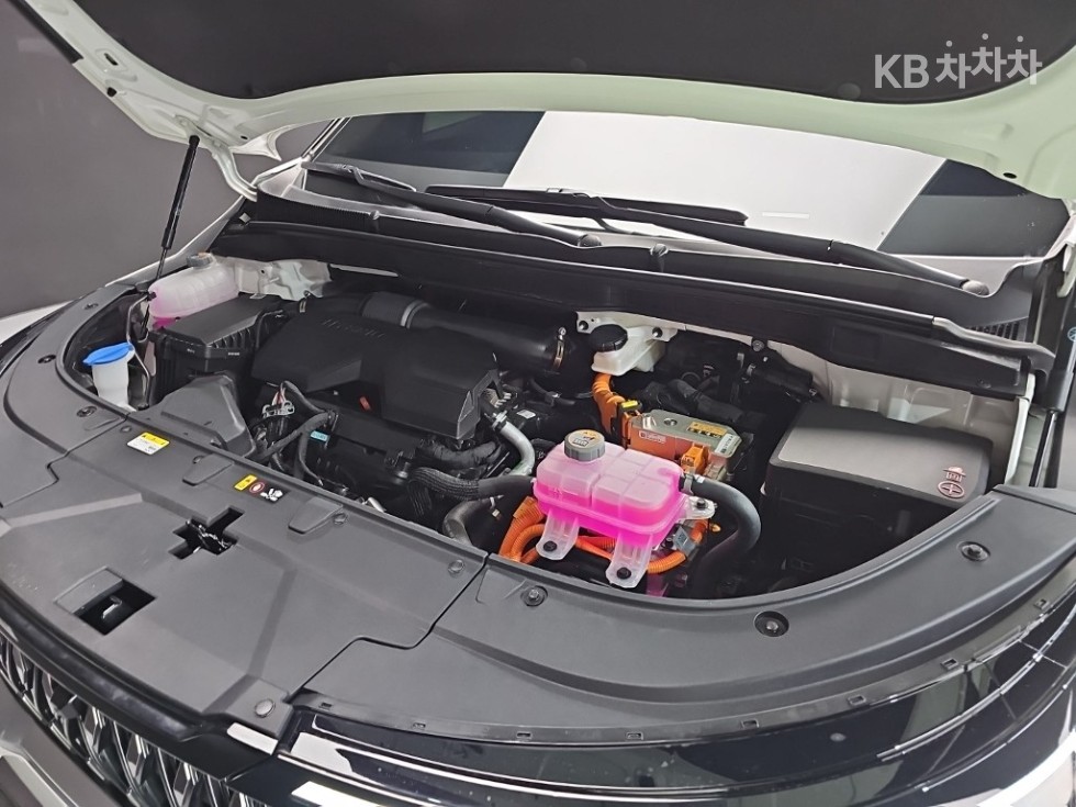 Kia Carnival — miniaturë 6