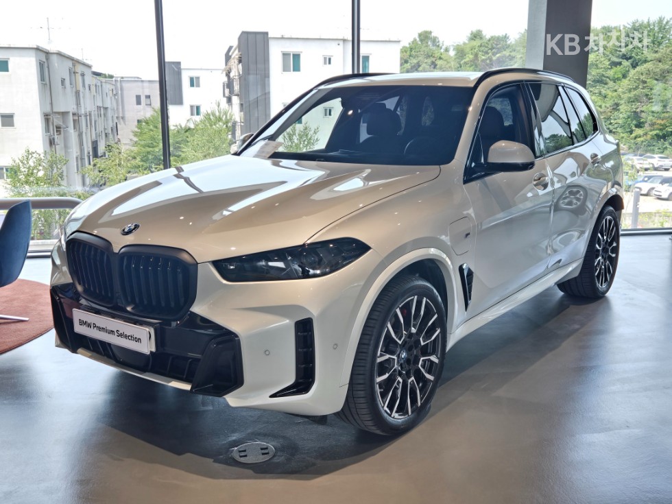 BMW X5 — miniaturë 2