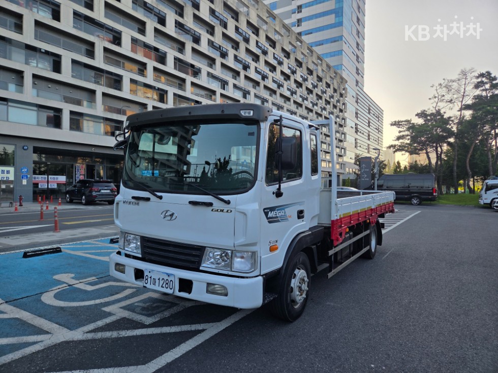 Hyundai 현대5톤 카고 GOLD