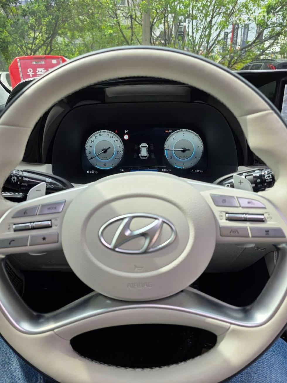 Hyundai Palisade — miniaturë 14