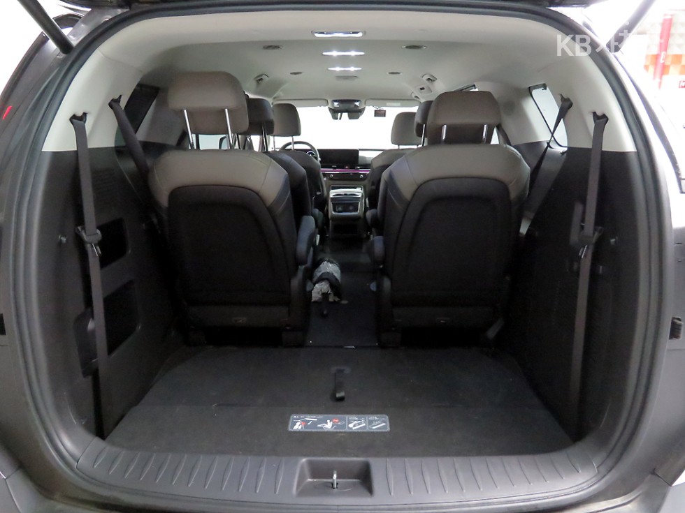 Kia Carnival — miniaturë 16