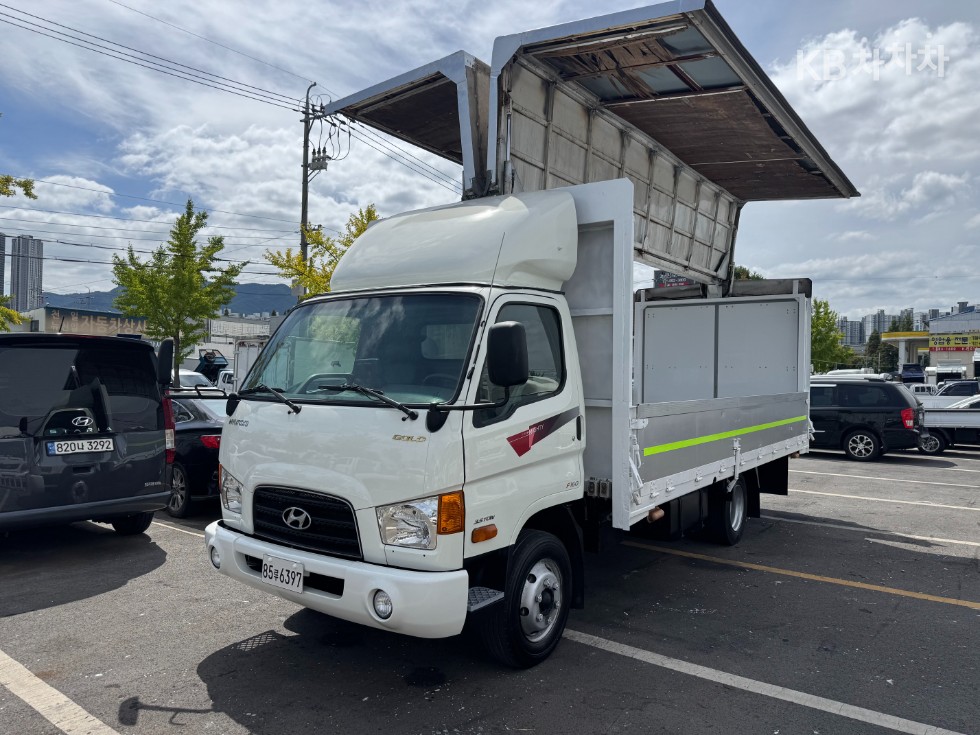 Hyundai E-Mighty