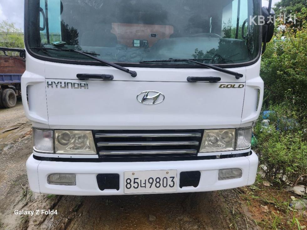 Hyundai 현대현대트럭 4.5톤 덤프트럭