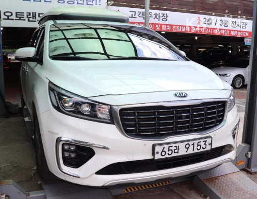 2019 - kia carnival
