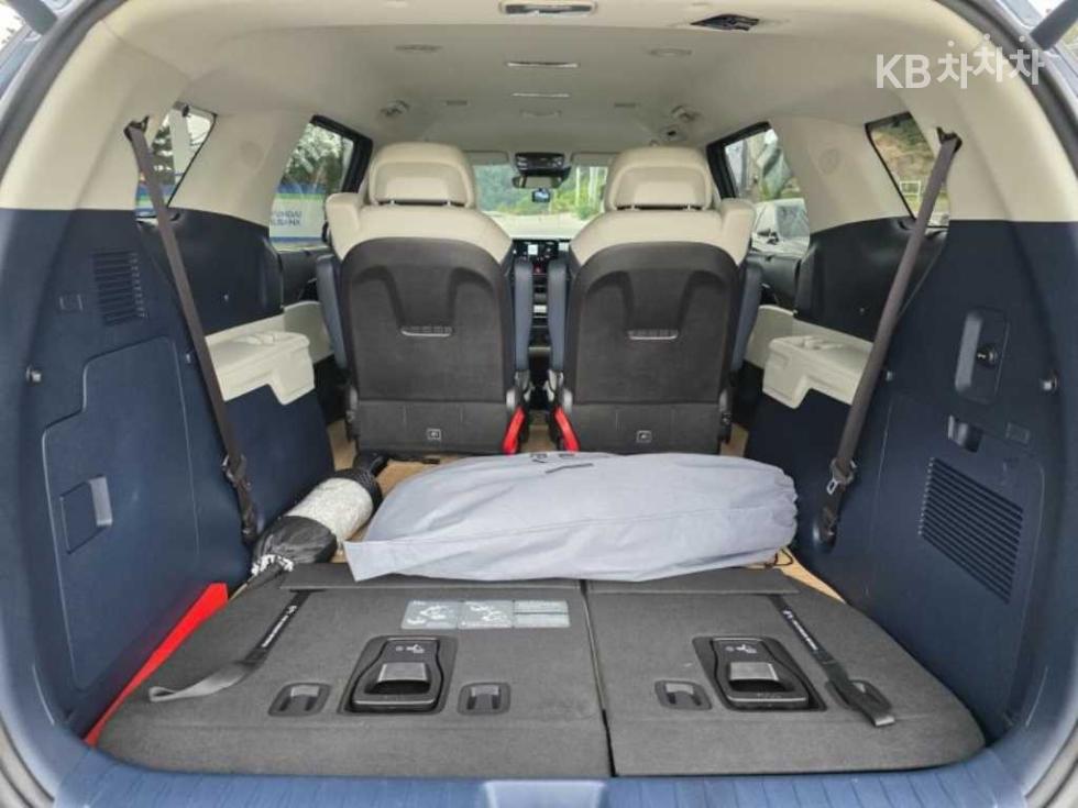 2024 - kia carnival